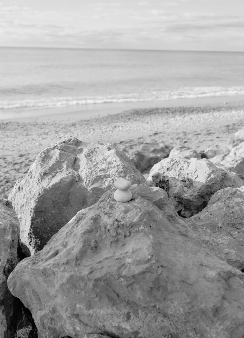 Black and white photo of textured rocks scattered on a sandy beach